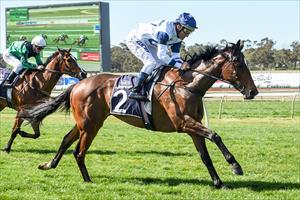 CAULFIELD CLASSIC THE PATH TO VRC OAKS FOR MIAMI 